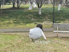 -堤角公园