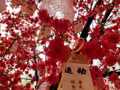 -杭州滨江宝龙城