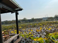 -铭莲·八卦田水上餐厅