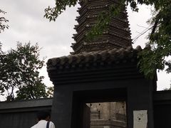 -高尔山公园