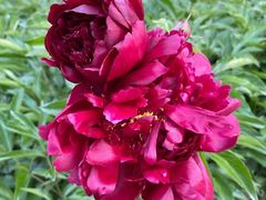 -长春公园(普阳街道)