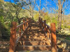 -大岭沟猕猴桃谷风景区