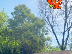 -鹦鹉寺公园