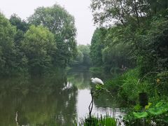 -新江湾城公园