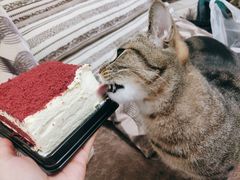 -沃尔玛购物广场(鸿通城店)