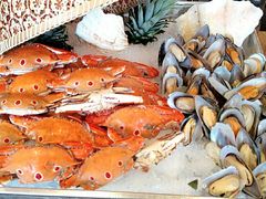 -视界美食自助餐厅·石家庄希尔顿酒店