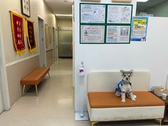 -爱妮康宠物医院·干细胞免疫细胞·肿瘤·心脏(张江店)