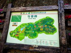 -西双版纳原始森林公园