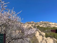 -北京凤凰岭