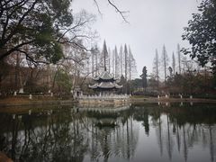 -习家池
