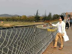 -羊亭河湿地公园