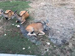 -西安秦岭野生动物园