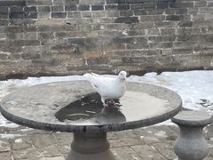 -康百万庄园