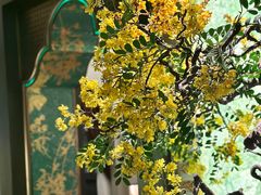 -金链花·泰国餐厅(国贸店)