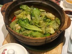 虾酱啫生菜煲-尚一汤·粤菜海鲜(环球港店)