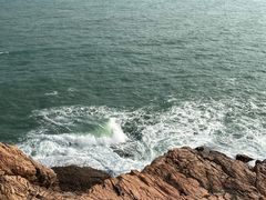 -广东惠东海龟国家级自然保护区