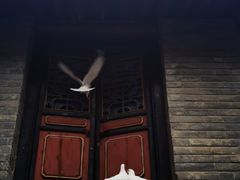 -康百万庄园