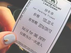 -迪士尼乐园停车场