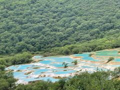 -黄龙山原始森林景区