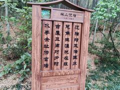 -杭州半山国家森林公园