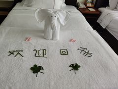 -三亚亚龙湾红树林度假酒店