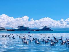 -青海湖国家重点风景名胜区