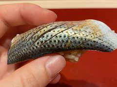 -橼舍鮨青木
