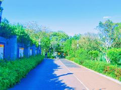 -立新湖公园