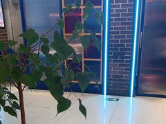 -三毛烤羊腿(乐园路总店)