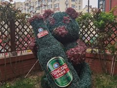 -青岛啤酒博物馆