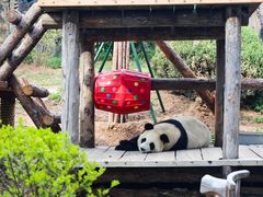 -大连森林动物园