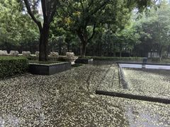 -木塔寺遗址生态公园