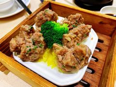 老年陈皮牛肉丸-品胜点心专家(万业大厦店)