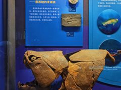 -国家自然博物馆