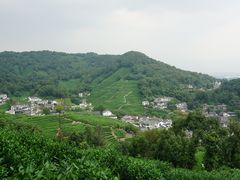 -龙井村