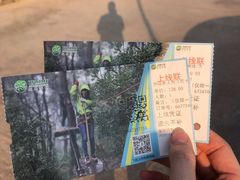 -芦仙山景区-飞越丛林探险乐园