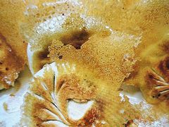 -山海经·海边人家 海鲜新青岛菜(扬州路店)