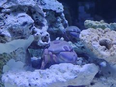 -郑州海洋馆