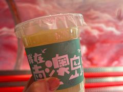 -南澳岛打卡果汁冰公司