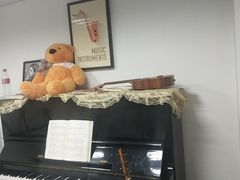 -爱乐蒙艺术·古筝 钢琴 声乐(科华校区)