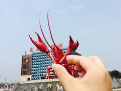 -虾味传奇(生态龙虾城店)