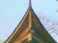 -缙云山景区