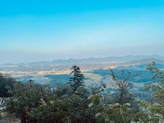 -莲峰云海景区
