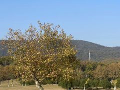 -钟山体育运动公园