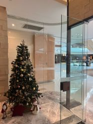 -丽妍雅集 Rubis SPA