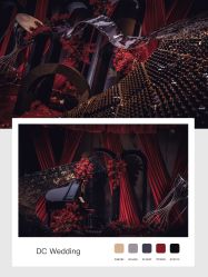 -DC大蔡婚礼策划(李公堤店)