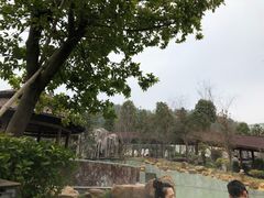 -万象温泉景区