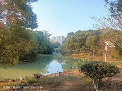 -八大山人梅湖景区