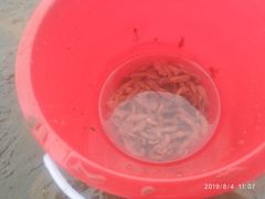 -东戴河风景区-止锚湾