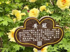 -洛阳市隋唐城遗址植物园